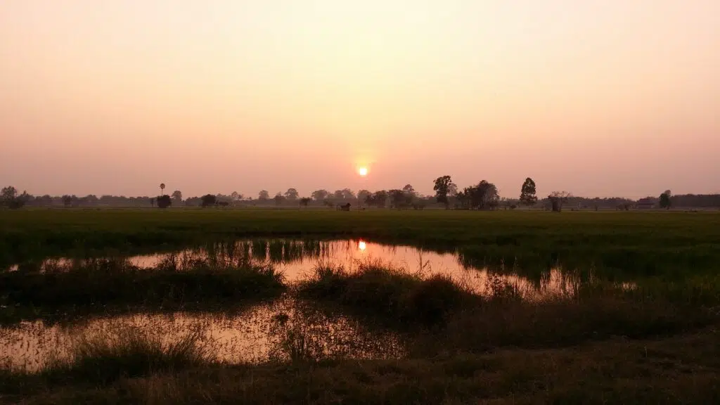 Photographie d'art d'un coucher de soleil serein sur les rizières de Thaïlande, où le reflet du soleil sur l'eau crée une atmosphère de paix et de quiétude intemporelle.