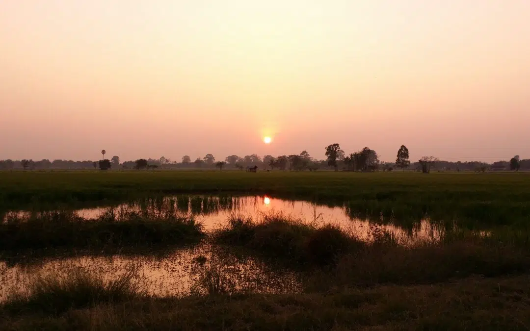 La Photographie comme méditation active