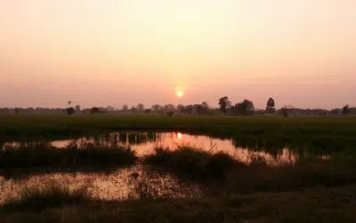 La Photographie comme méditation active